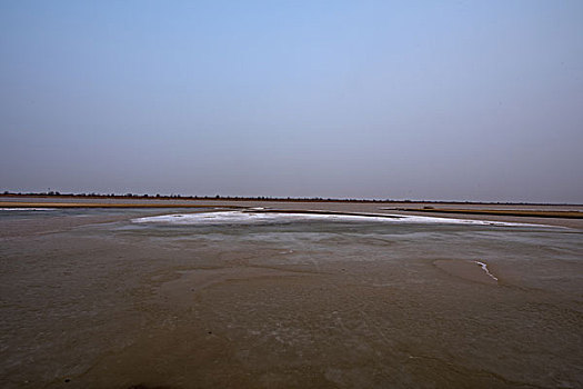 东营黄河入海口湿地