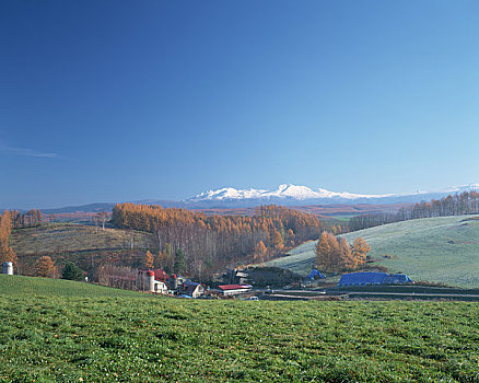 美瑛,山