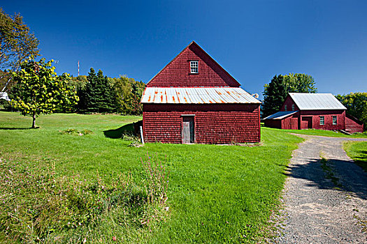 红色,木质,谷仓,伽斯佩,魁北克,加拿大