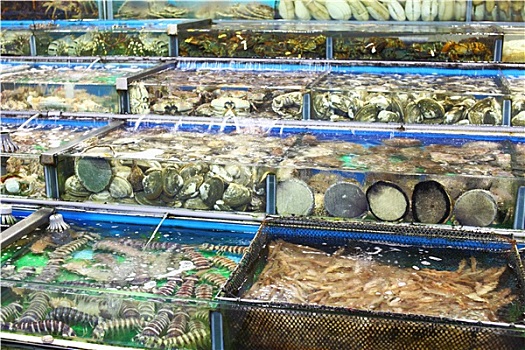 鱼缸,海鲜,市场