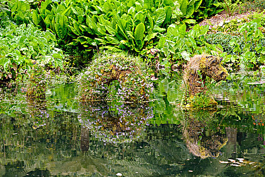 雕塑,水,蛇,水塘,花园,法尔茅斯,康沃尔,英格兰,英国