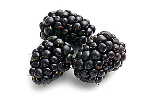 黑莓,水果