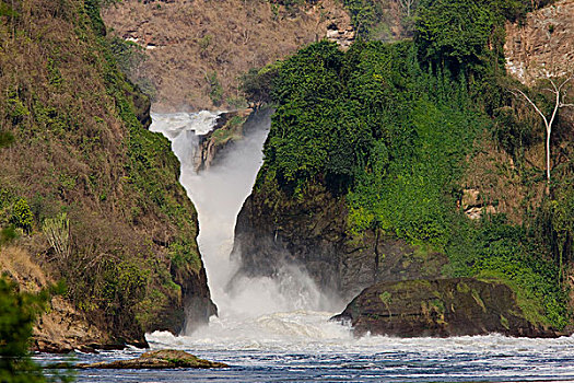 尼罗河,乌干达