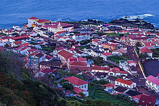 葡萄牙,亚速尔群岛,岛屿,城镇景色,黎明