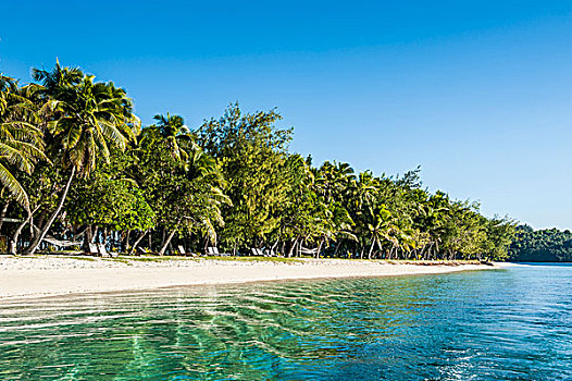 白沙滩,岛屿,蓝色泻湖,斐济,南太平洋
