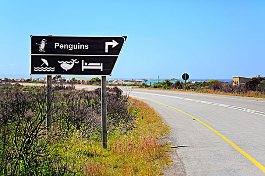 路标,企鹅,观鲸,西海角,南非,非洲
