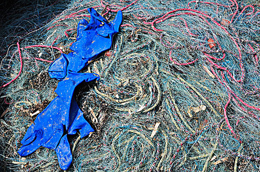 渔网,蓝色,手套,厄尔巴岛,托斯卡纳,意大利,欧洲