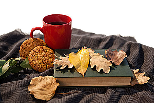 黑咖啡,饼干,日记,秋叶,毛织品,毯子,白色背景
