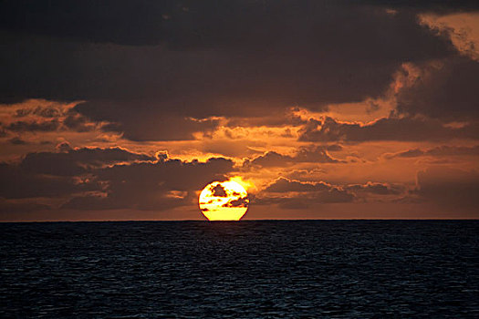 日落,银,堤岸,多米尼加共和国,北美