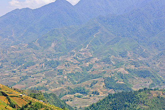 山,风景,稻米,梯田,越南