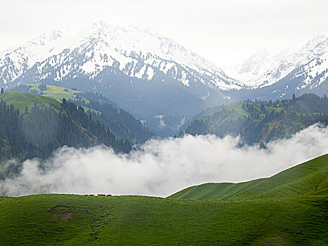 云雾天山