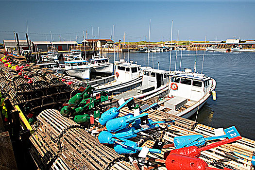 捕虾器,浮漂,水塘,爱德华王子岛,加拿大