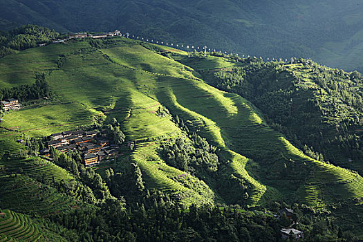 龙脊梯田