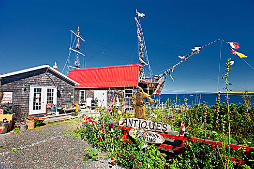 古玩店,北美土拨鼠,雕刻,海岸,新布兰斯维克,加拿大