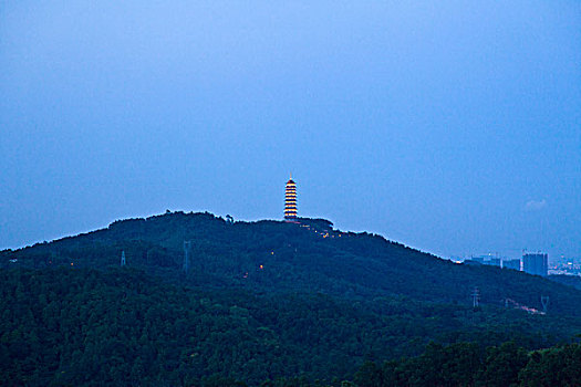 江门,城市,夜景