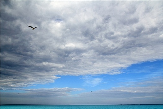 多云,生动,天空,加勒比,蓝绿色海水