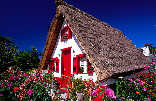 葡萄牙,马德拉岛,传统,房子