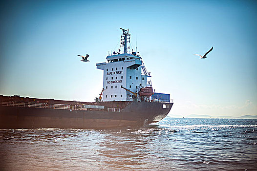 集装箱船,穿过,博斯普鲁斯海峡