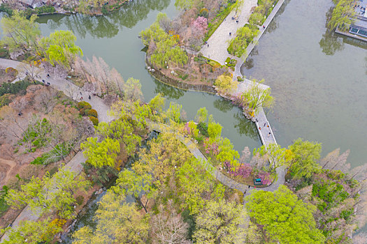 航拍济南大明湖春色满园