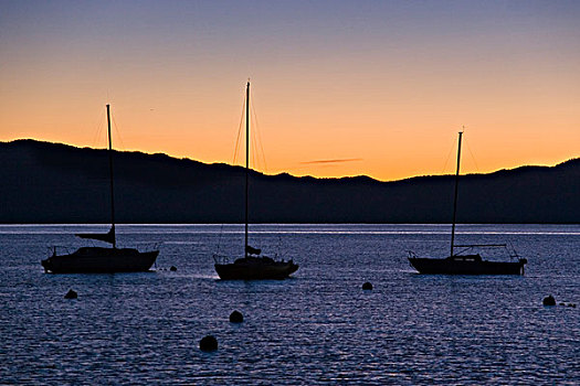 船,日出,太浩湖,加利福尼亚