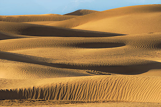 沙丘,金色,日落,彩色,死谷,大幅,尺寸