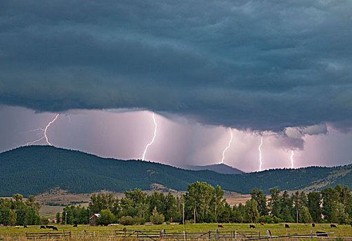 雷暴,闪电,山谷,靠近,蒙大拿