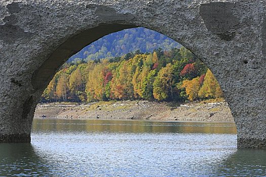 桥,上方,湖,秋天,拱形