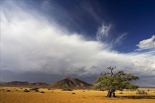 雷暴,山峦,农场,纳米比亚
