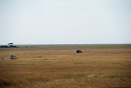 坦桑尼亚塞伦盖蒂草原行走的汽车