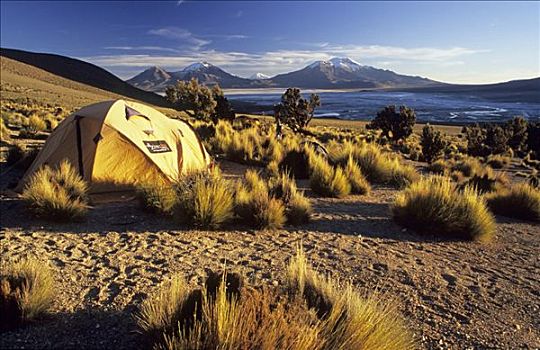 露营,拉乌卡国家公园,智利