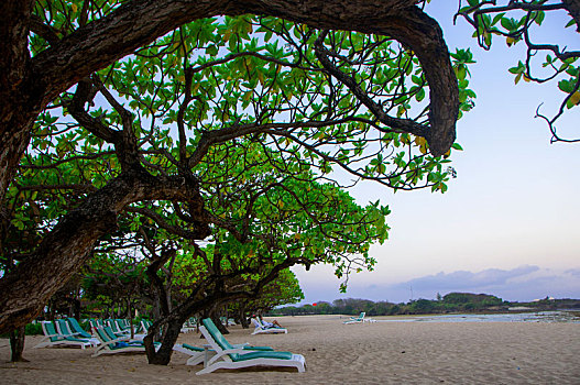 印尼峇里岛渡假胜地,海边的沙滩多人日光浴