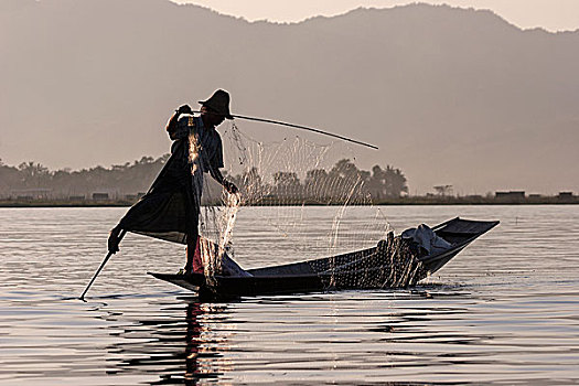 传统,腿,桨手,船,渔网,逆光,茵莱湖,掸邦,缅甸,亚洲