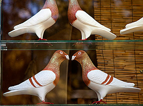 特色小店橱窗内展示的鸽子模型