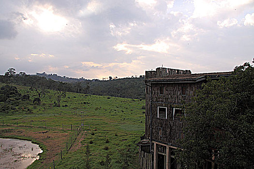 肯尼亚阿布代尔树顶旅馆楼顶风景