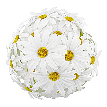 俯视,雏菊,玻璃花瓶,隔绝,白色背景,背景
