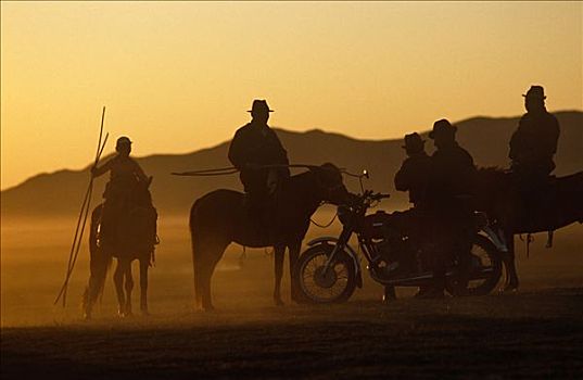 马,牧人,家,节日,喀喇昆仑,省,蒙古