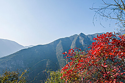 长江三峡巫峡峡谷巫山红叶