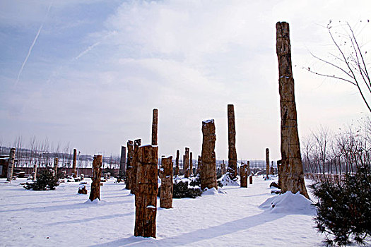 木化石雪景