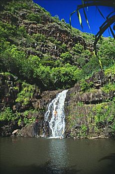 夏威夷,瓦胡岛,威美亚,瀑布,公园,人,岩石上,女人,水