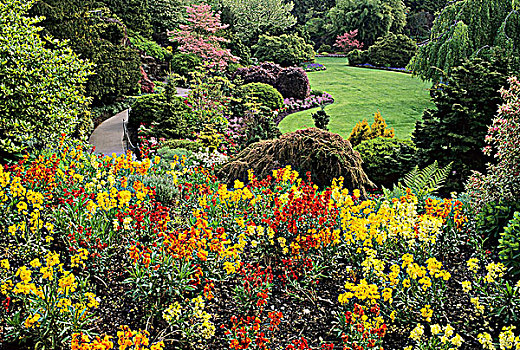 采石场,花园,伊莉莎白女王,公园,温哥华,不列颠哥伦比亚省,加拿大