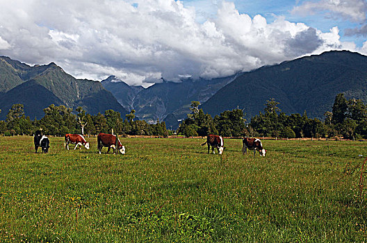 马瑟森湖lake,matheson