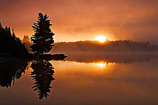 日出,烟,湖,阿尔冈金省立公园,安大略省
