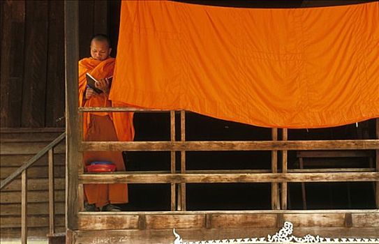 老挝,万象,僧侣,读