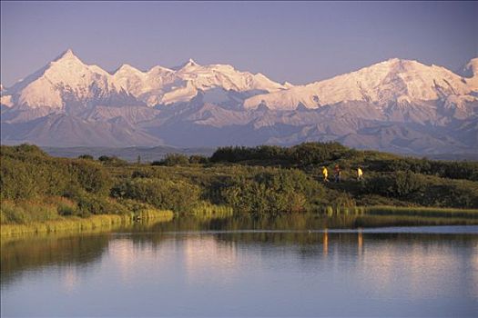 游客,风景,山,夏天,室内,阿拉斯加