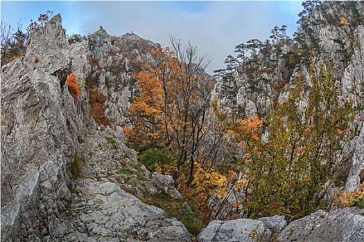 峡谷,罗马尼亚