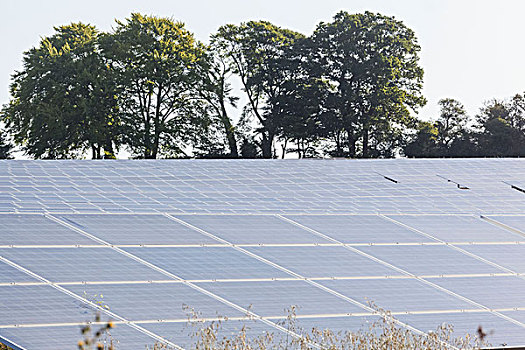 英格兰,汉普郡,太阳能电池板,农场