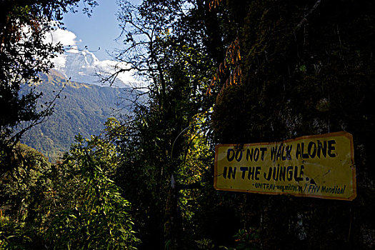 标识,说话,走,一个,安娜普纳保护区,喜马拉雅山,尼泊尔