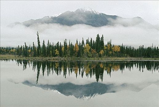 阿拉斯加山脉,反射,低湿地,秋天,阿拉斯加