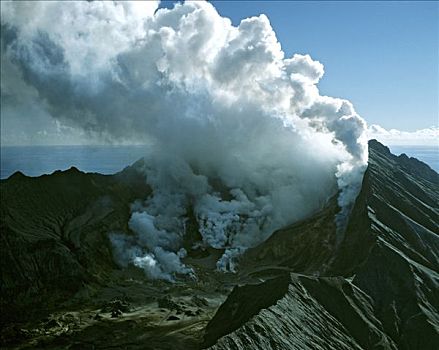 白色,岛屿,火山,喷发,许多,北岛,新西兰