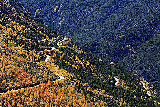 德钦秋天盘山路